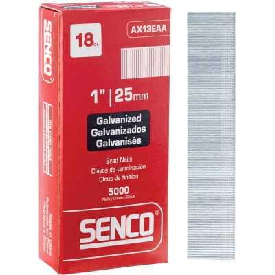 Senco 18-Gauge Galvanized Medium Head Brad Nail, 1 In. (5000 Ct.)